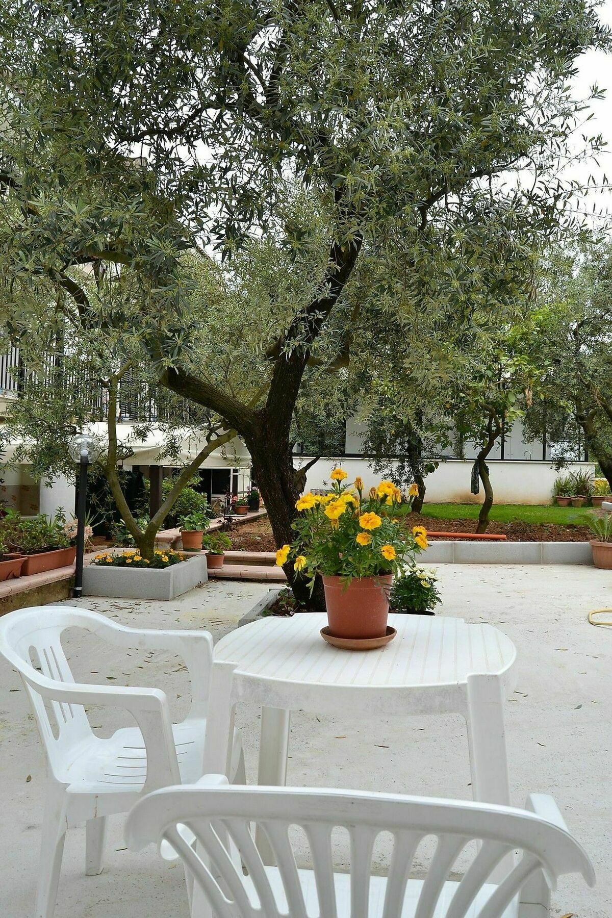 Il Girasole Formia Guesthouse Rooms Exterior photo